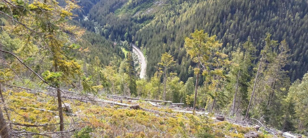 Pobyt V Krkonosich V Blizkosti Pece Pod Snezkou Horní Maršov 外观 照片
