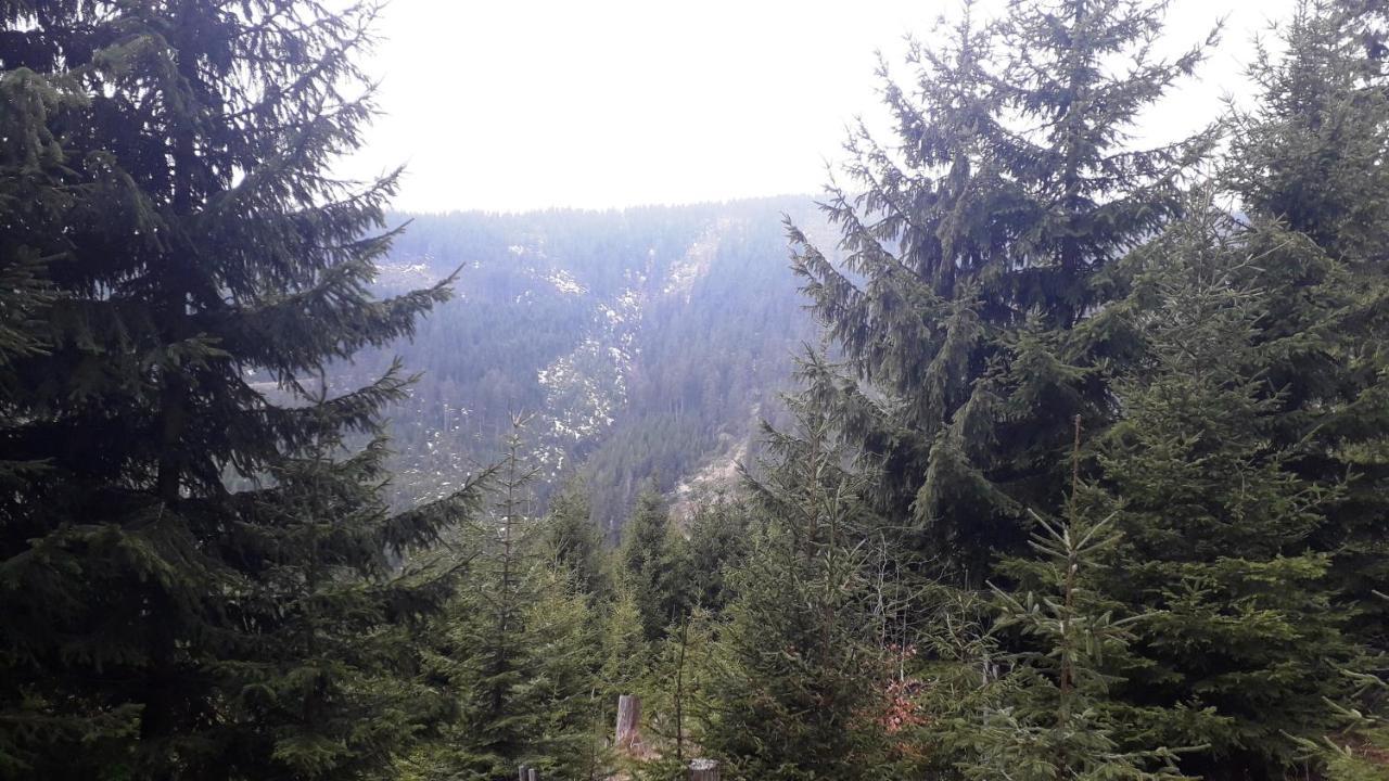 Pobyt V Krkonosich V Blizkosti Pece Pod Snezkou Horní Maršov 外观 照片